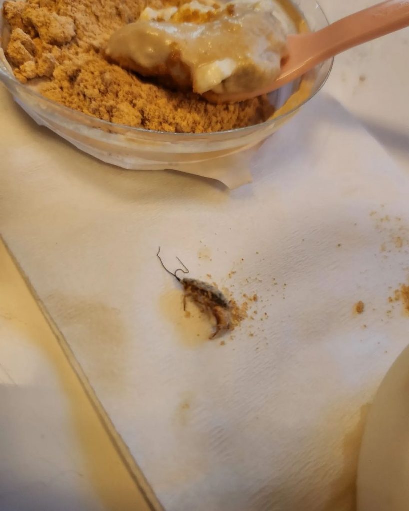 ป๊อบ-คำเกษม-เจอแมลงสาปในอาหารญี่ปุ่น-7