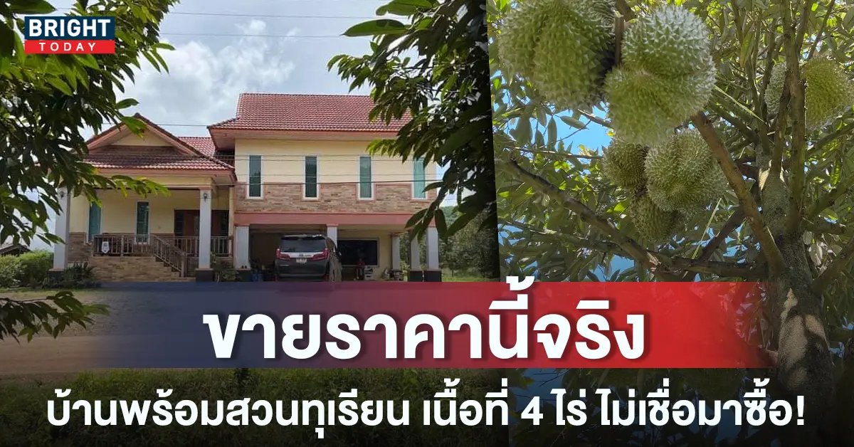 -บ้านพร้อมสวนทุเรียน