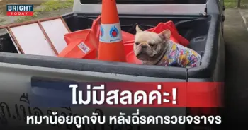 หน้าปกใหม่-หมาโดนจับ