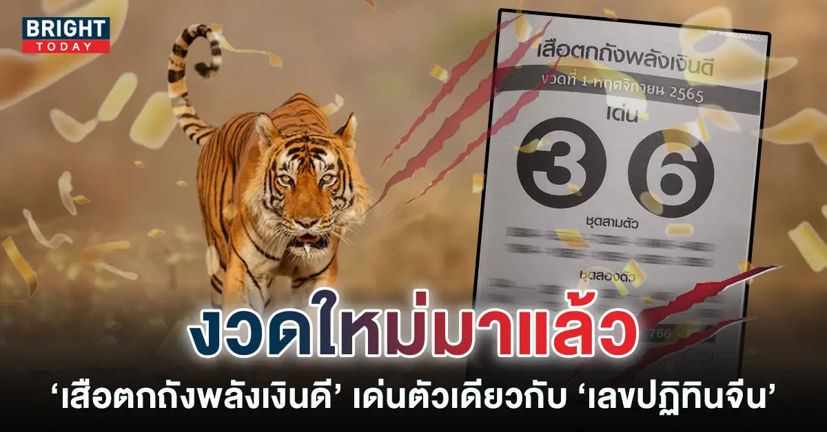 เลขเด็ด-เสือตกถังพลังเงินดี-16-10-65-1