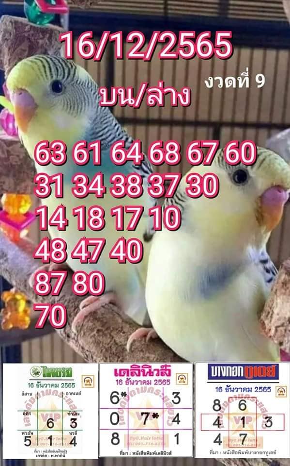 เลขเด็ด-หวยเดลินิวส์-หวยไทยรัฐ-หวยบางกอกทูเดย์-16-12-65