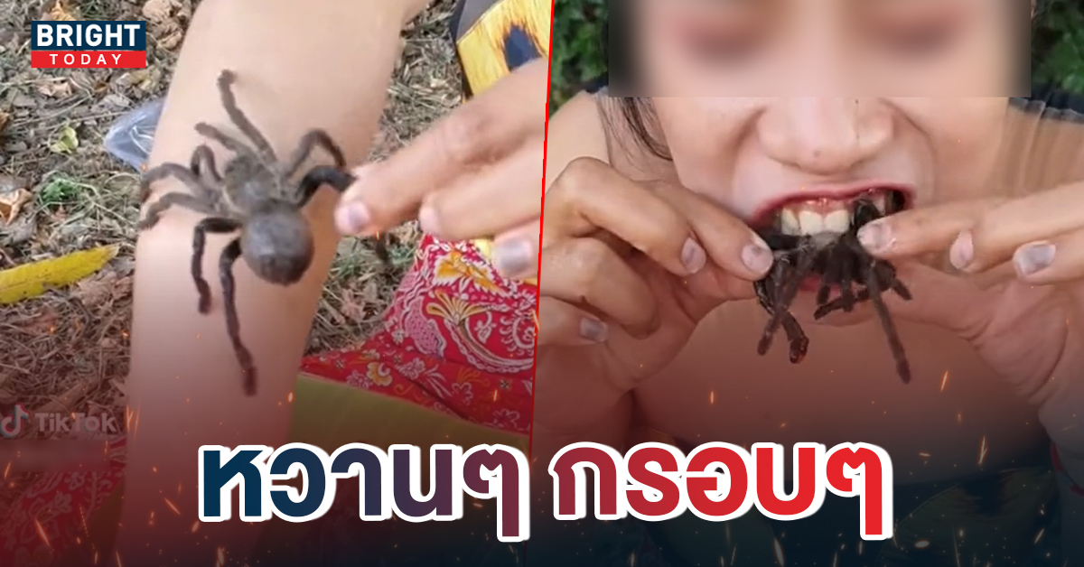 ขนลุก สาวเปิบพิสดาร กินแมงมุม แบบเป็นๆ เมนูใหม่สุดแปลก กับแกล้มส่งท้ายปี