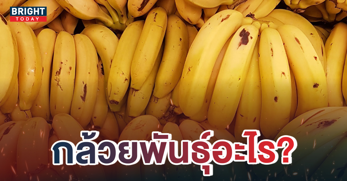 สุดโหด เด็กแอบกินกล้วย เจ้าของจับได้เรียกค่าเสียหาย กล้วยหวีละ 2 หมื่น ลั่นจะดำเนินคดีให้ถึงที่สุด