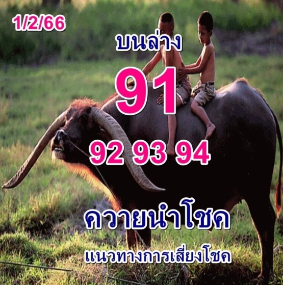 หวยงวดนี้-1-2-66-เลขเด็ด-ควายนำโชค-เลขดังงวดนี้