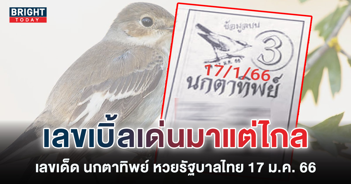 เลขเด็ด นกตาทิพย์ 17 1 66 งบน้อยตามด่วน หวยงวดนี้ เลขเบิ้ล มาเด่นมาก