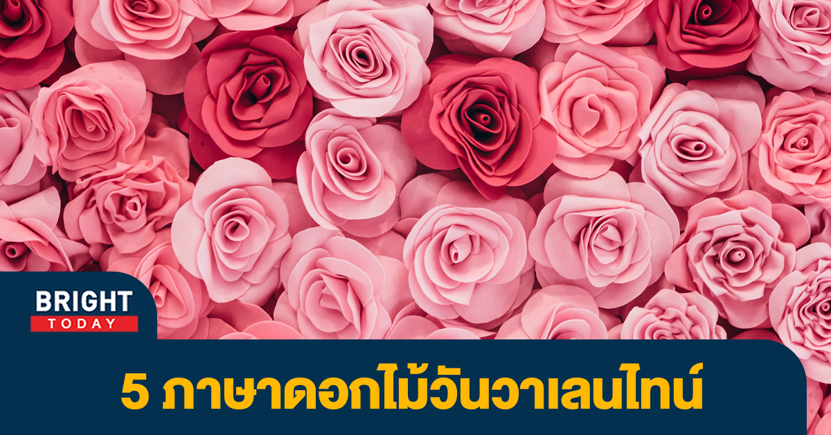บอกรักด้วยดอกไม้ 5 ความหมาย ภาษาดอกไม้ ที่ควรให้วัน วาเลนไทน์