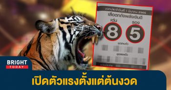 เลขเด็ด-เสือตกถังพลังเงินดี-1-3-66-หวยรัฐบาลไทย
