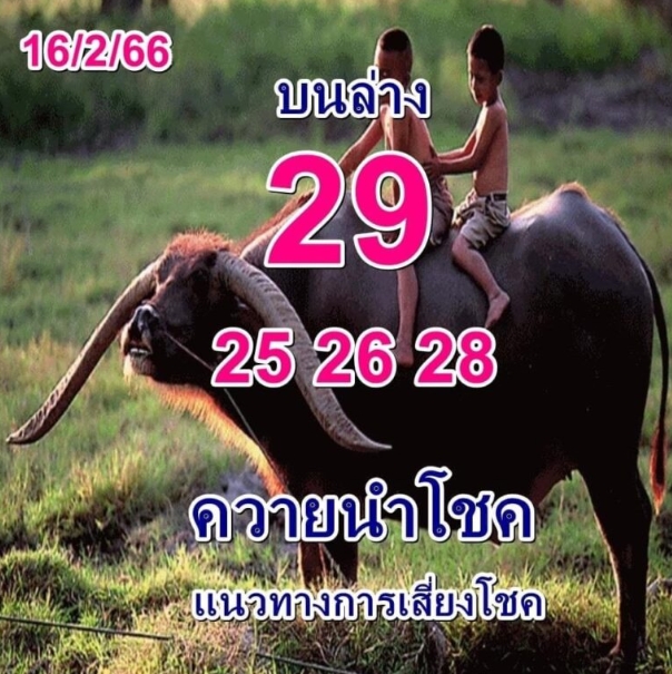 เลขเด็ดเลขดัง-หวยความนำโชค-16-2-66-หวยงวดนี้