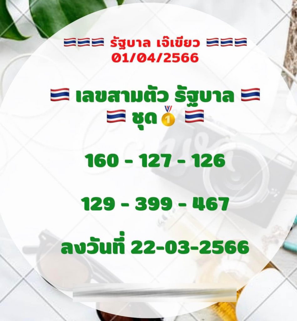 -1-4-66-1-1