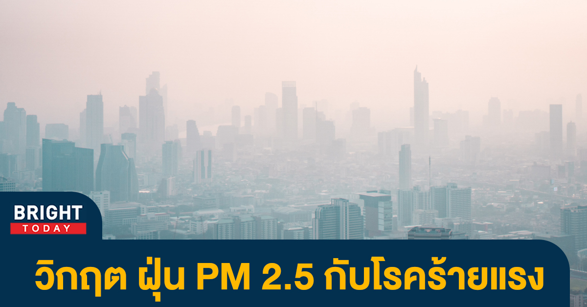 ฝุ่น PM2.5 หน่วยวิจัยชี้ 1 นาที เราสูดเข้าปอดไป 54 ล้านเม็ด เสี่ยงโรคหลอดเลือดสมอง