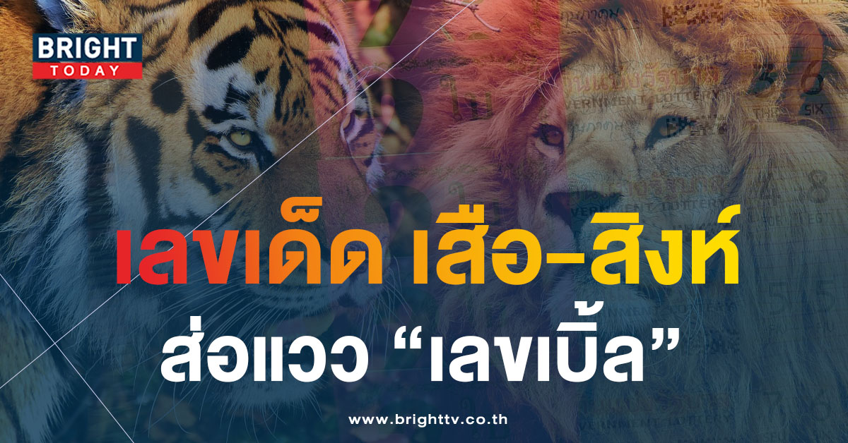 ประชันความแม่น! หวยสิงห์เหนือเสือใต้ 2 5 66 แจกฟรีแนวทางหวยไทย เลขเด็ด เลขเบิ้ล