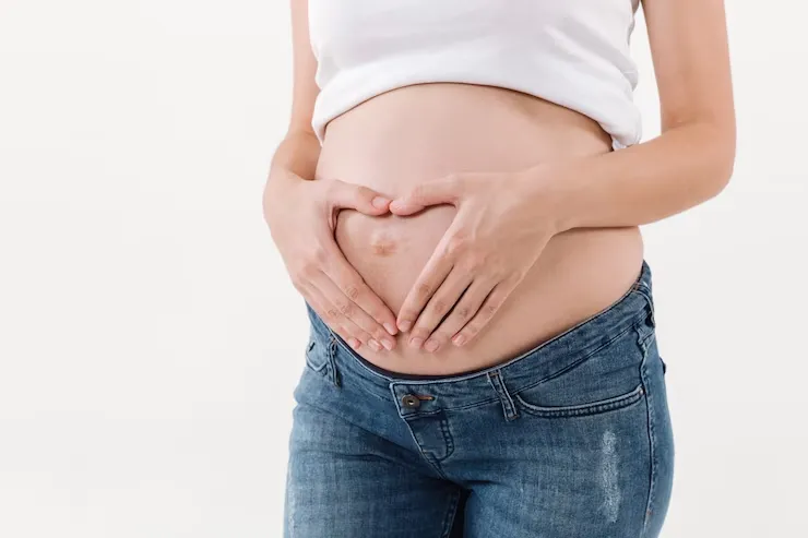 cropped-image-pregnant-woman-hol