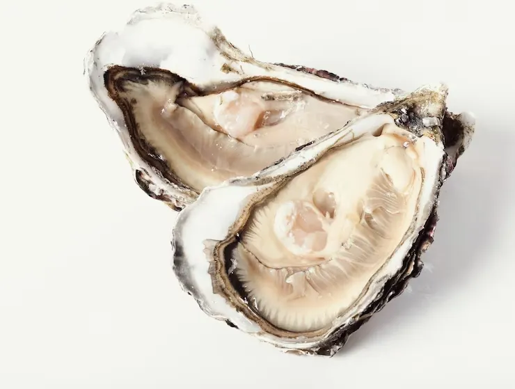 fresh-oyster 144627-29985