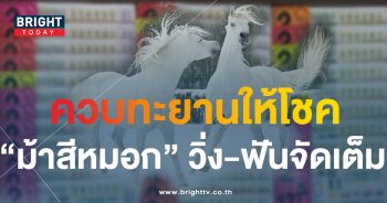 ม้าสีหมอก-min