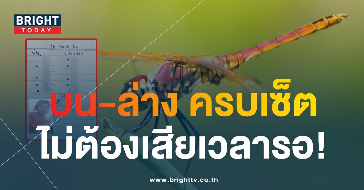 เลขเด็ด หวยแมงปอ 16 11 66-1-min