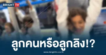นักท่องเที่ยว (2)