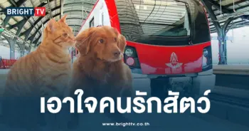 รถไฟฟ้า ร.ฟ.ท. เอาสัตว์เลี้ยงขึ้นได้