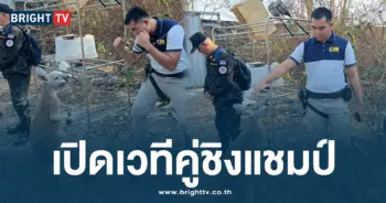 ชาวต่างชาติ ลักลอบตั้งฟาร์มเพาะเลี้ยงสัตว์ป่าคุ้มครอง 6