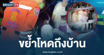 พิตบูลกัดเด็กเกือบตาย