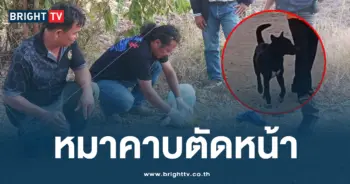 หมาคาบยาบ้าเข้าบ้าน 6