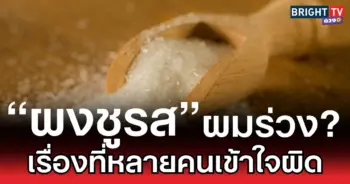 “ผงชูรส” ผมร่วง เรื่องที่หลายคนเข้าใจผิด